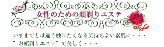 女性メニュー